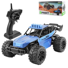 OFF ROAD SPRINT RACING TRUCK