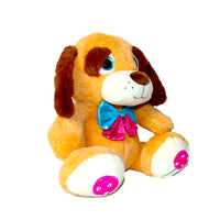 
              TEDDY
            